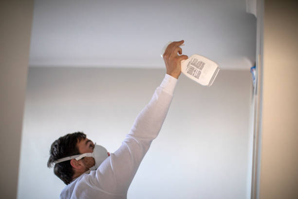 Best Local Mold Removal Service  in Clarion, IA