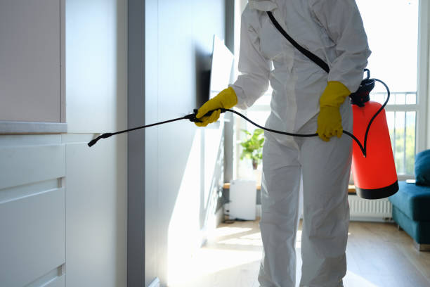 Best Emergency Mold Removal  in Clarion, IA