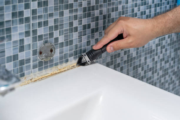 Mold Testing and Removal in Clarion, IA