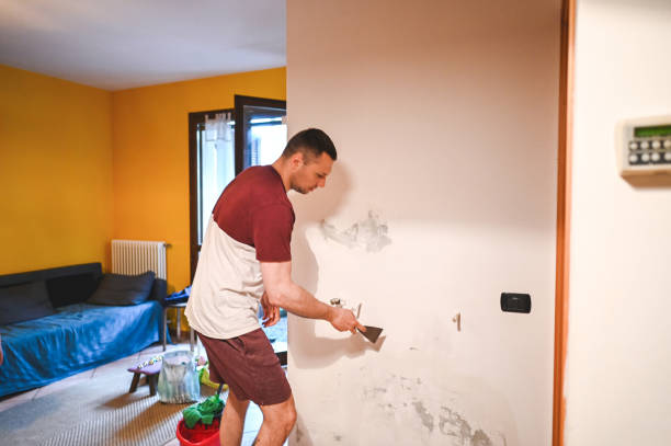 Best Office Mold Removal Services  in Clarion, IA