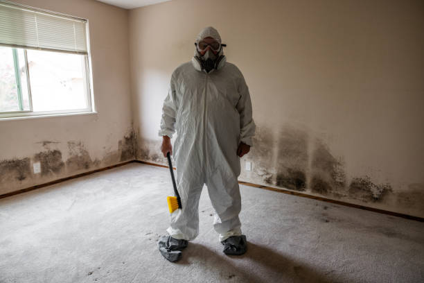 Best Attic Mold Removal  in Clarion, IA